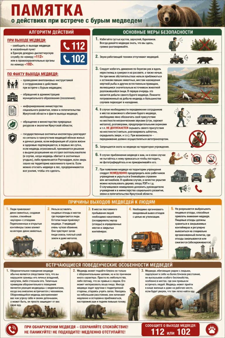 Правила при встрече с медведем